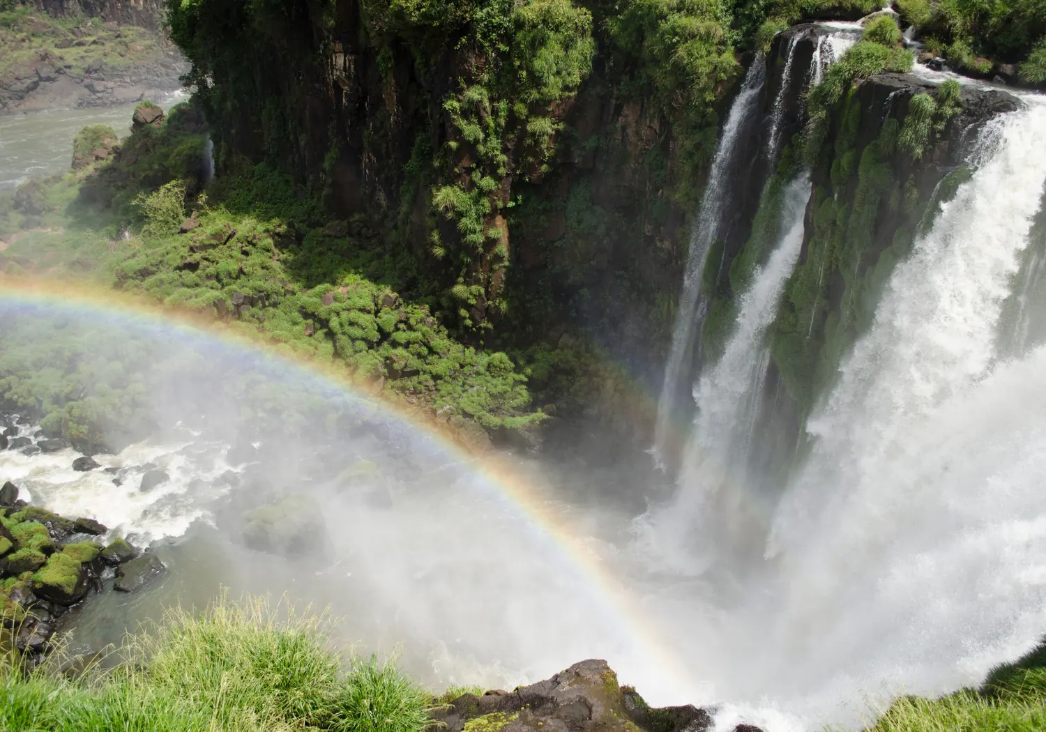 Regnbåge över de breda vattenfallen i Iguaçu omgivna av grönska.